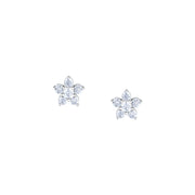 tesori earring 925 silver flower cz
