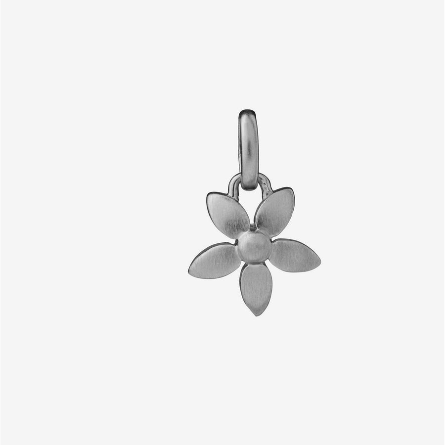 forget-me-not silver