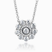 RE39484CZ