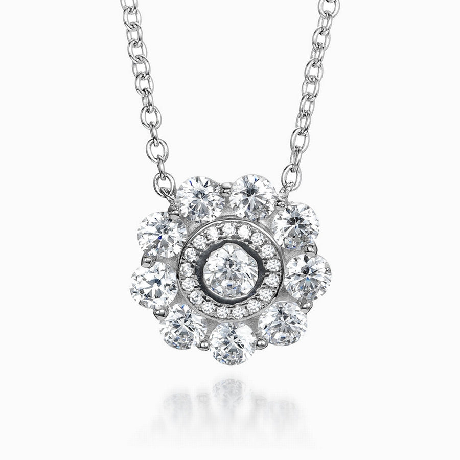 RE39484CZ