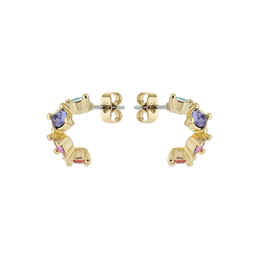 ted baker cresita: crystal nano hoop gold tone rainbow pastel crystal earring