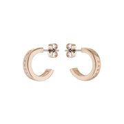 ted baker helanna  nano logo hoop earring rose gold tone