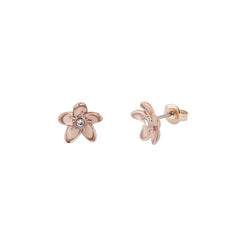 ted baker beaauu: blossom stud earring rose gold tone stud earrings