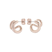 ted baker hennriy: double hoop rose gold tone earring