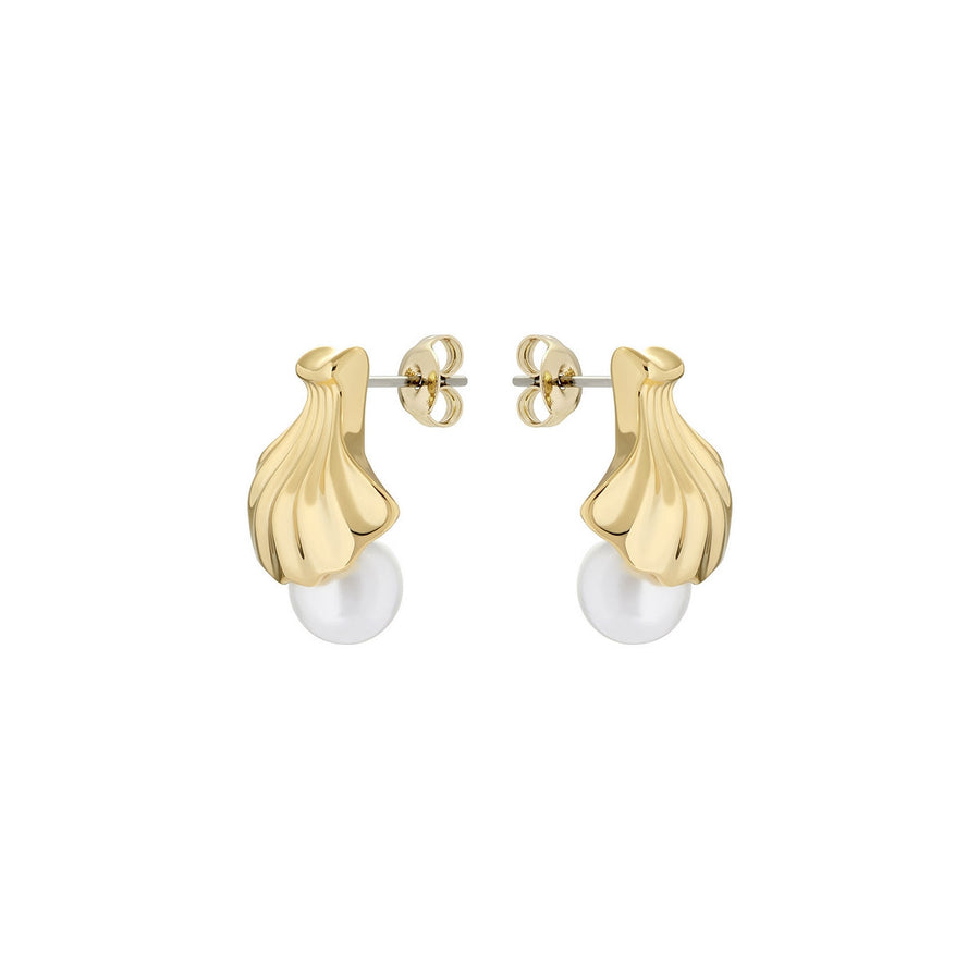 ted baker caliien: clam shell gold tone pearl stud earring