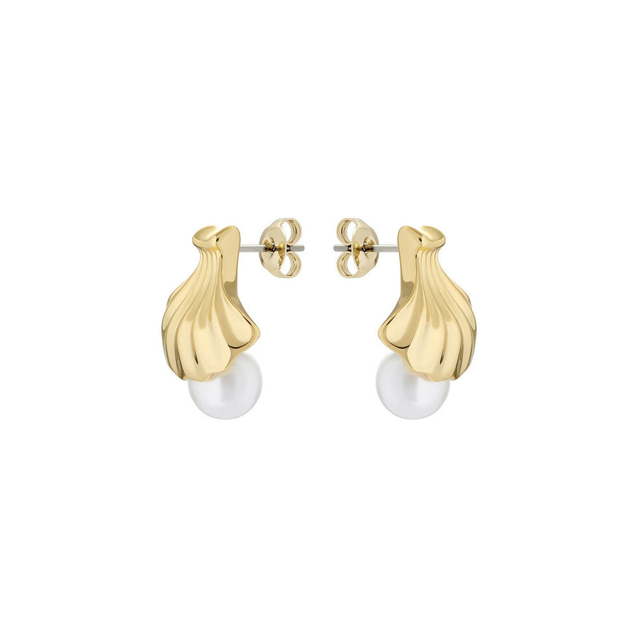 ted baker caliien: clam shell gold tone pearl stud earring