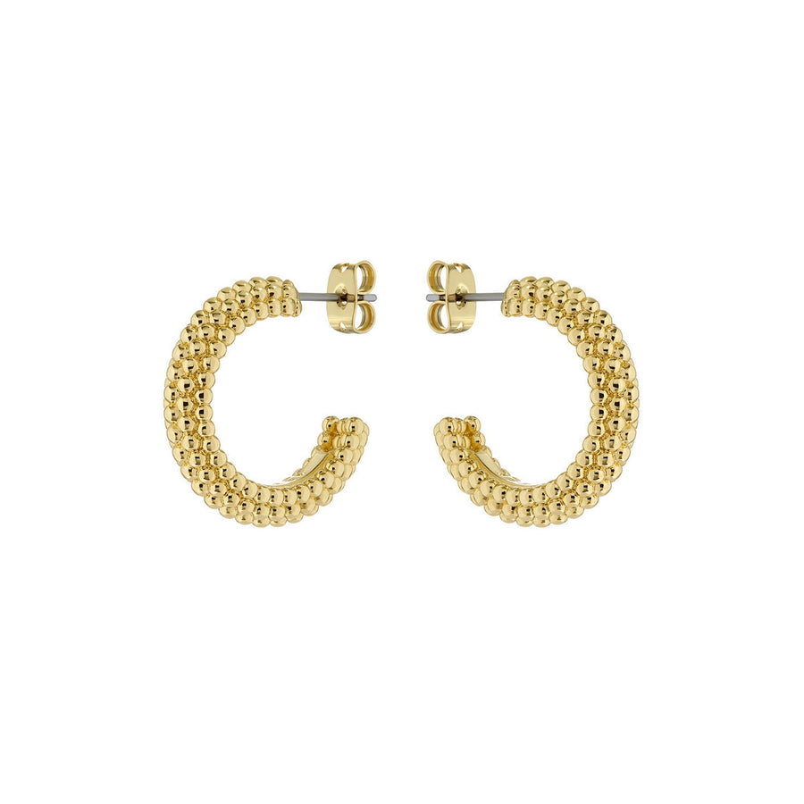 ted baker dotetta: dotty hoop earrings gold tone