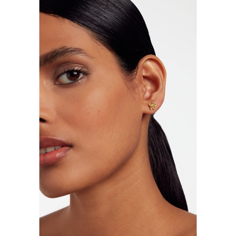 ted baker wildie: tiny flower stud earrings gold tone