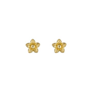 ted baker wildie: tiny flower stud earrings gold tone