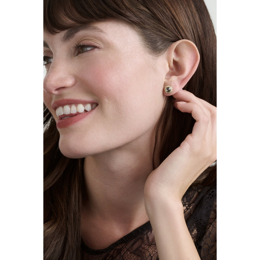 ted baker soletia: solitaire sparkle crystal stud earrings gold tone black dianond crystal