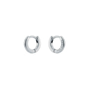 ted baker crisete: logo hoop earrings (10mm) silver tone