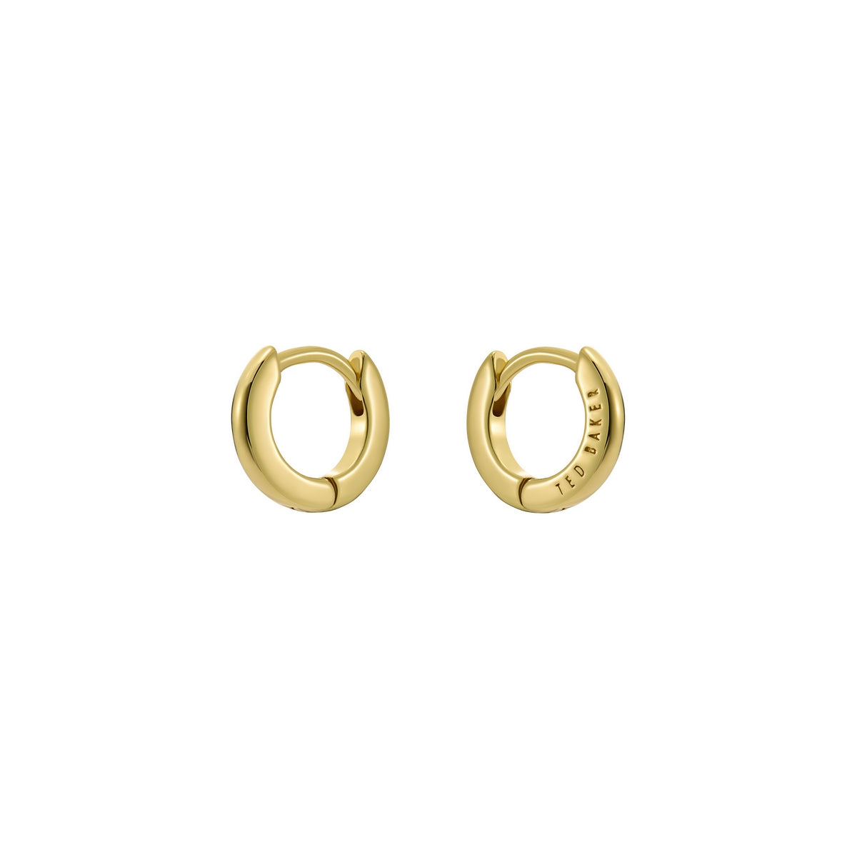 ted baker crisete: logo hoop earrings (10mm) gold tone