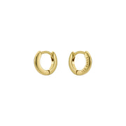 ted baker crisete: logo hoop earrings (10mm) gold tone