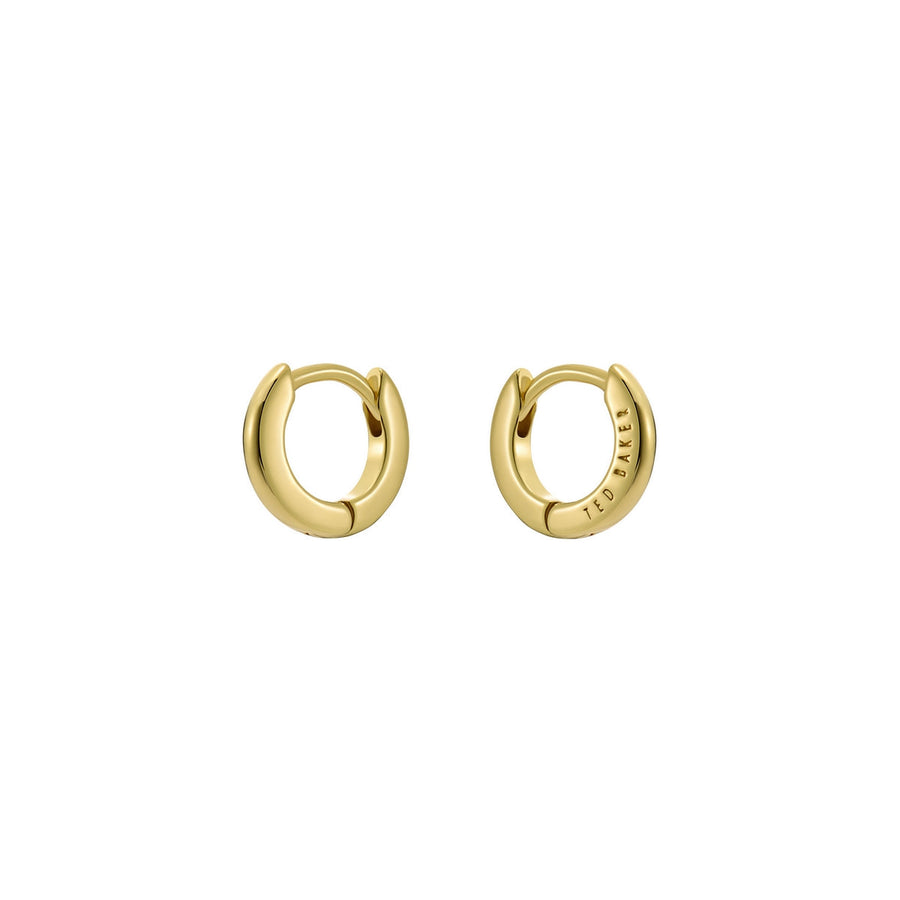 ted baker crisete: logo hoop earrings (10mm) gold tone