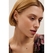 ted baker heplie: crystal hoop earrings (14mm) silver tone, clear crystal