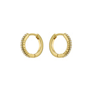 ted baker heplie: crystal hoop earrings (14mm) gold tone, clear crystal