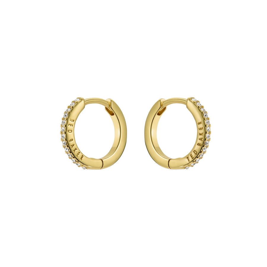 ted baker heplie: crystal hoop earrings (14mm) gold tone, clear crystal