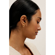 ted baker heplie: crystal hoop earrings (14mm) gold tone, clear crystal