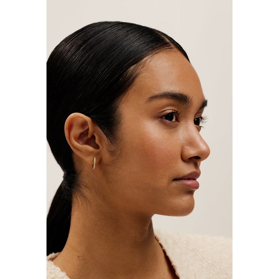 ted baker heplie: crystal hoop earrings (14mm) gold tone, clear crystal