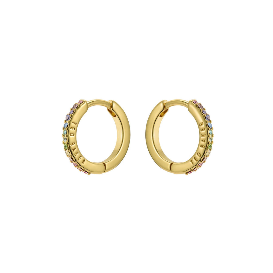 ted baker heplie: crystal hoop earrings (14mm) gold tone,, rainbow crystal