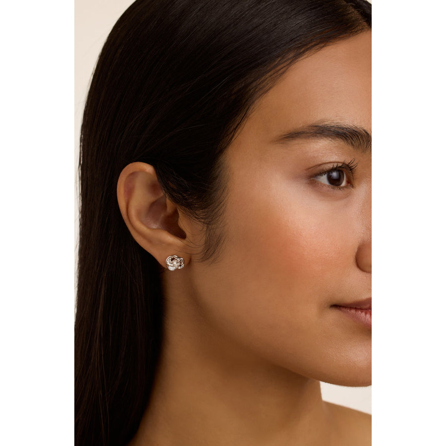 ted baker florine: crystal flower stud earrings silver tone, clear crystal