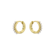 ted baker persia: pearl huggie earrings gold tone