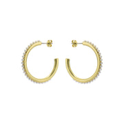ted baker peraa: medium pearl hoop earrings gold tone