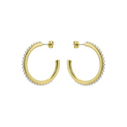 ted baker peraa: medium pearl hoop earrings gold tone