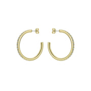 ted baker clanci: medium crystal gold tone hoop earrings