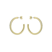 ted baker clanci: medium crystal gold tone hoop earrings