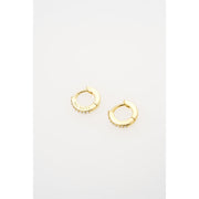 ted baker hettie: crystal hoop earrings (10mm)  gold tone clear crystal
