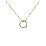 ted baker heri: crystal hoop gold tone pendant necklace
